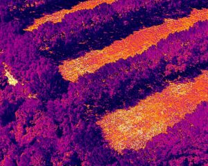 Thermal drone image showing heat variation